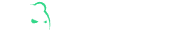 bruno casino logo